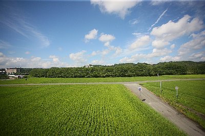 10A_3798.jpg