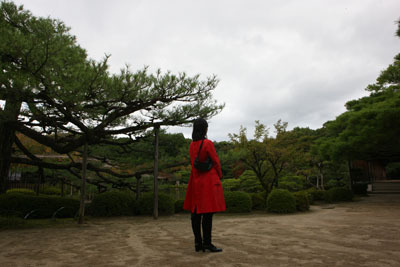 10A_7698.jpg