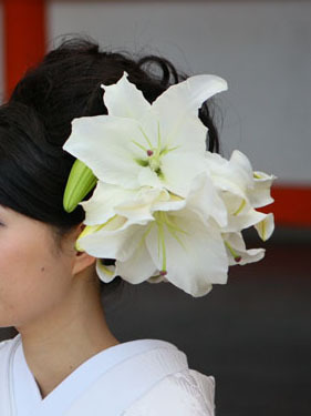 10A_8056.jpg