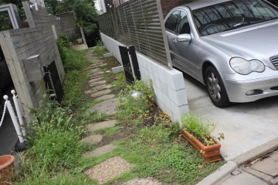 12B_5065.JPG
