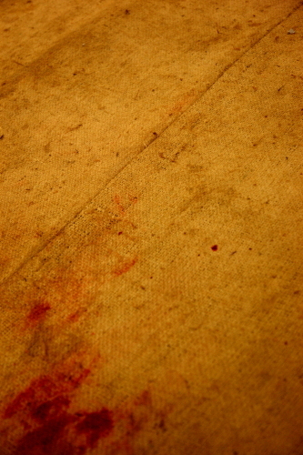 13B_8924.JPG