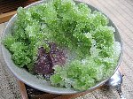IMG_1268.JPG