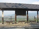 IMG_6879.jpg