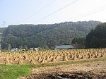 IMG_7752.JPG