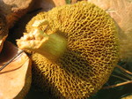 IMG_7776.JPG