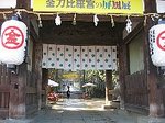 IMG_8135.jpg