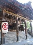 IMG_8145.jpg