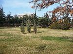 P1010724.JPG